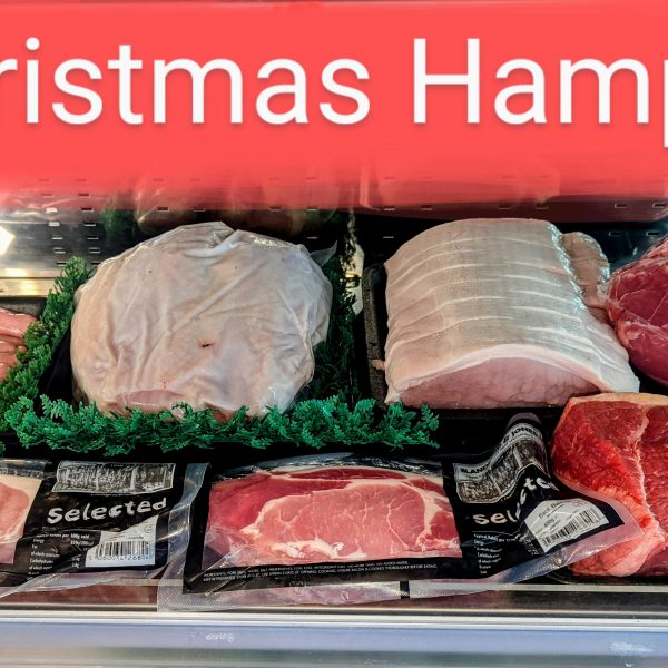 PXL_20240822_113305687~3